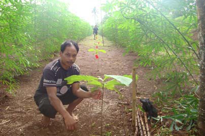 Pak Cipto 2008