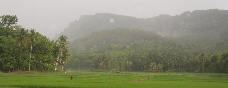 Kertajaya Village