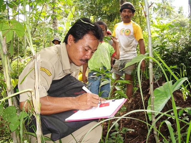 Monitoring young trees