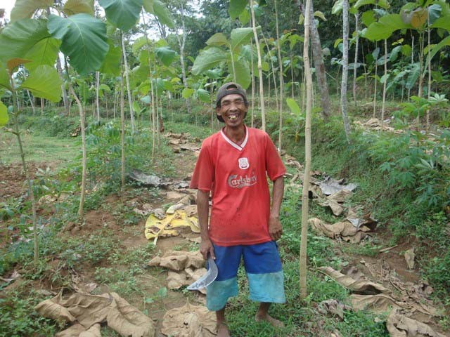 Pak Sadimin and his Trees