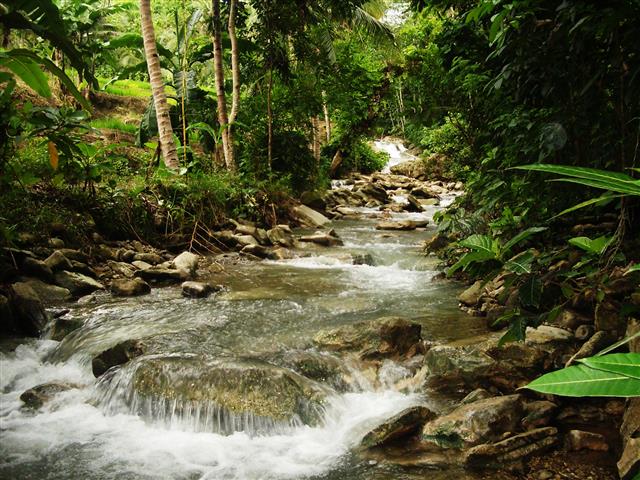 Maintenance in the upstream area of the Cilalal river is important to ongoing healthy water supply