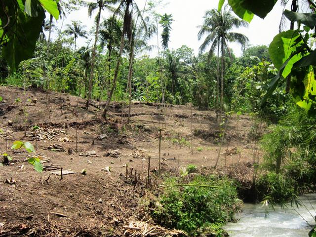 A riverside area in need of much improvement targeted for planting
